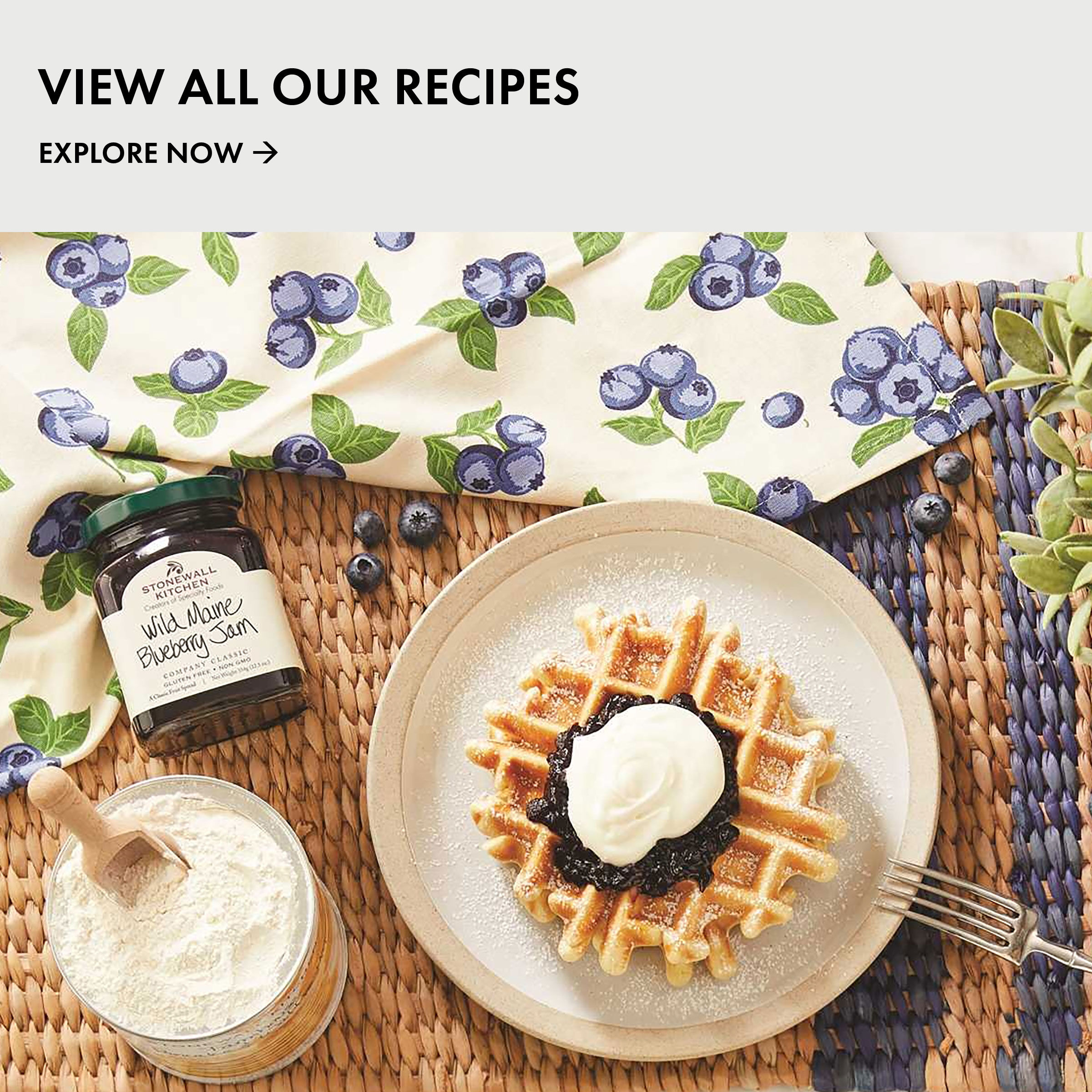 View All Our Recipes | Explore Now