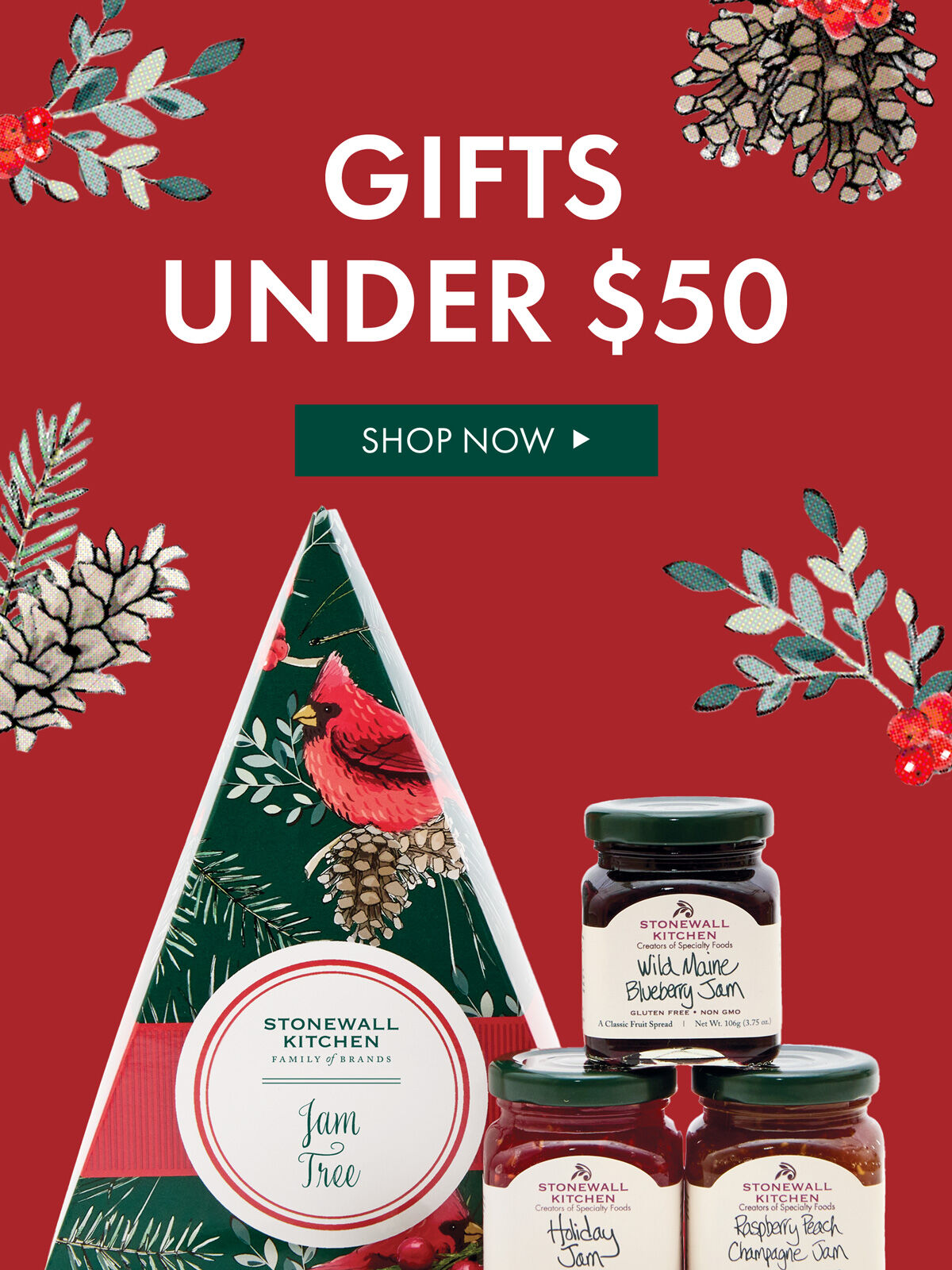 Gifts Under $50 - Shop Now