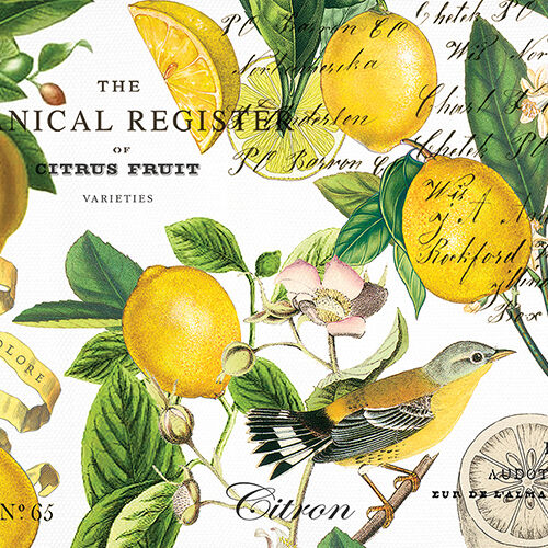 MDW - Lemon Basil Collection