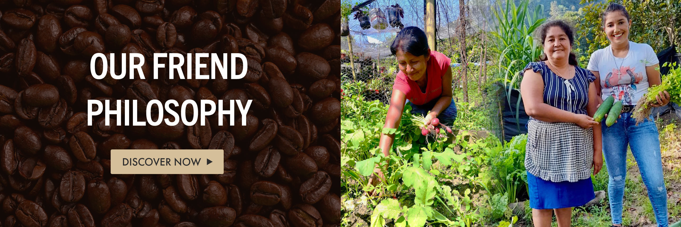 Our Friend Philosophy - Discover Now