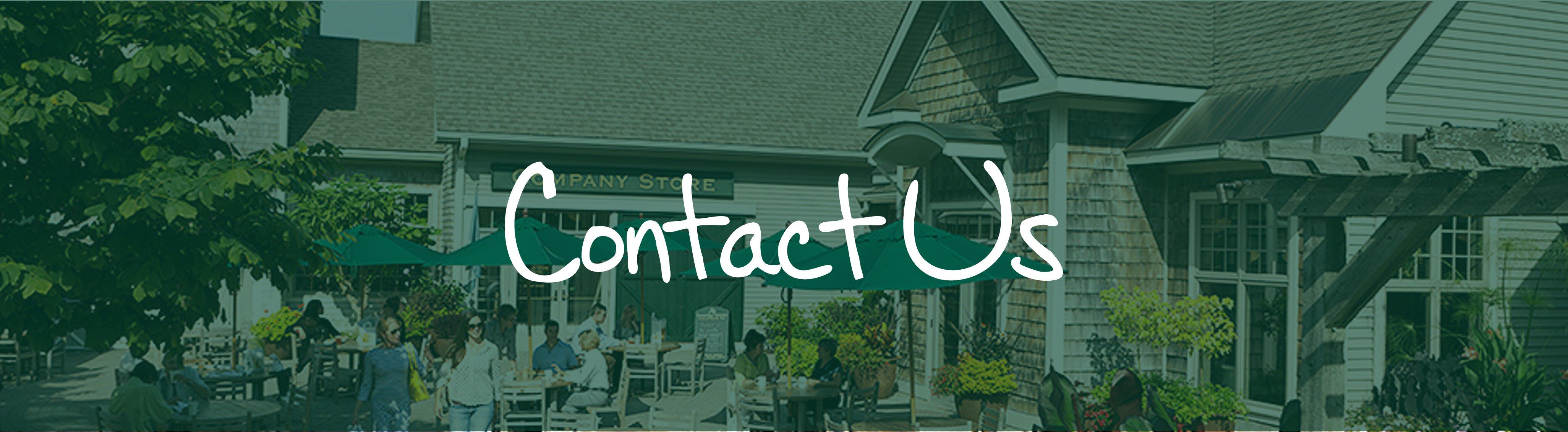 Contact Us