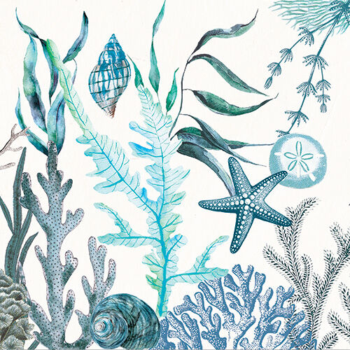 MDW - Ocean Tide Collection