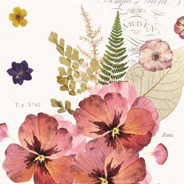 Pressed Flowers Collection - Michel Design Works