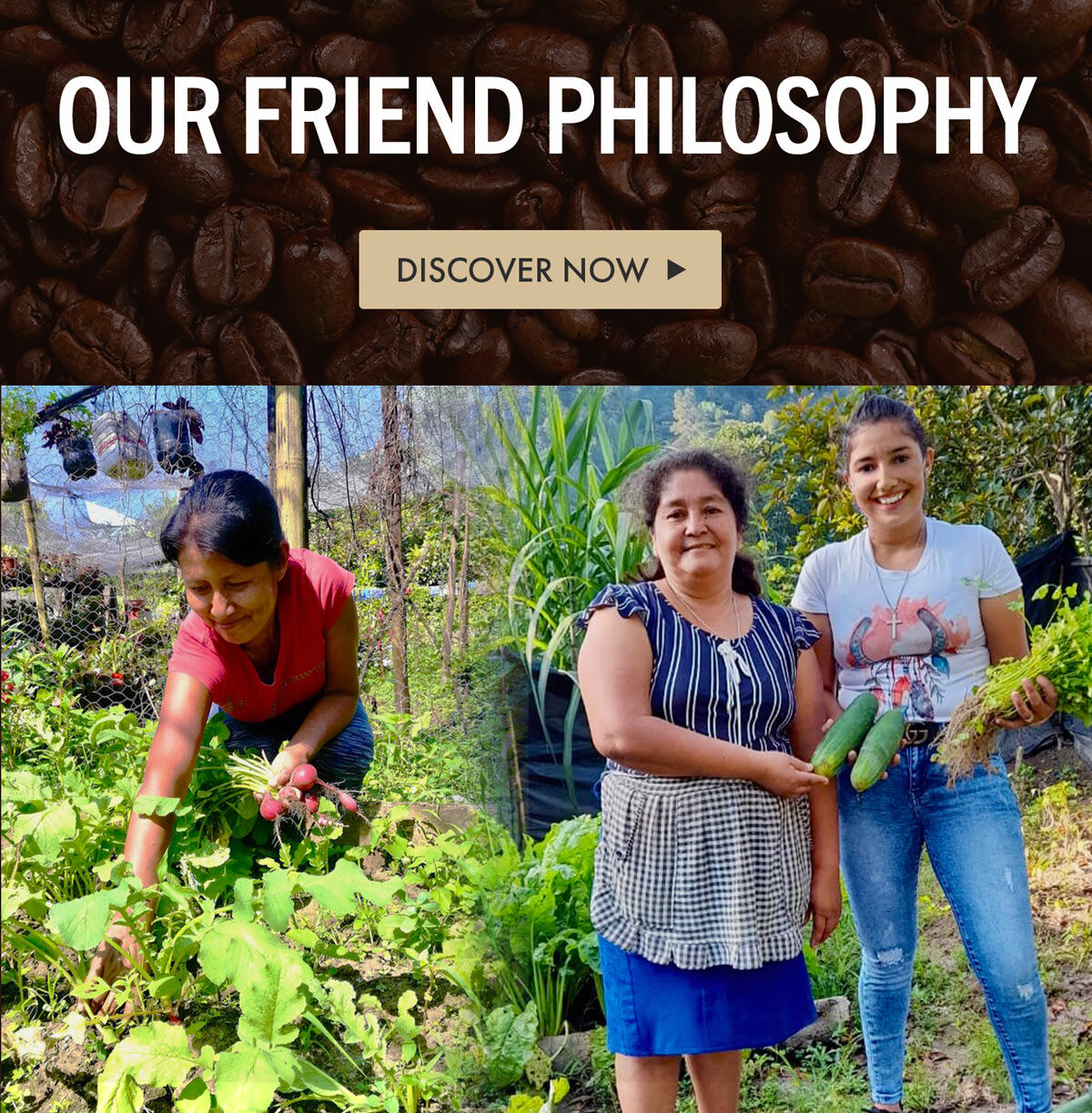 Our Friend Philosophy - Discover Now