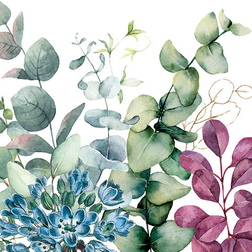 MDW - Eucalyptus & Mint Collection