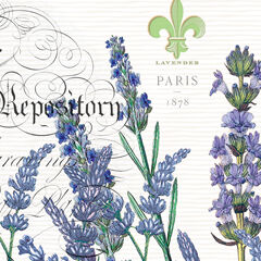 MDW - Lavender Rosemary Collection