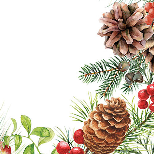 MDW - White Spruce Collection