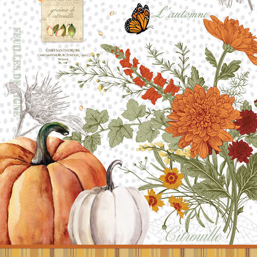 MDW - Pumpkin Delight Collection