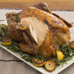 Roasted turkey sliced on a bed of herbs and roasted lemons