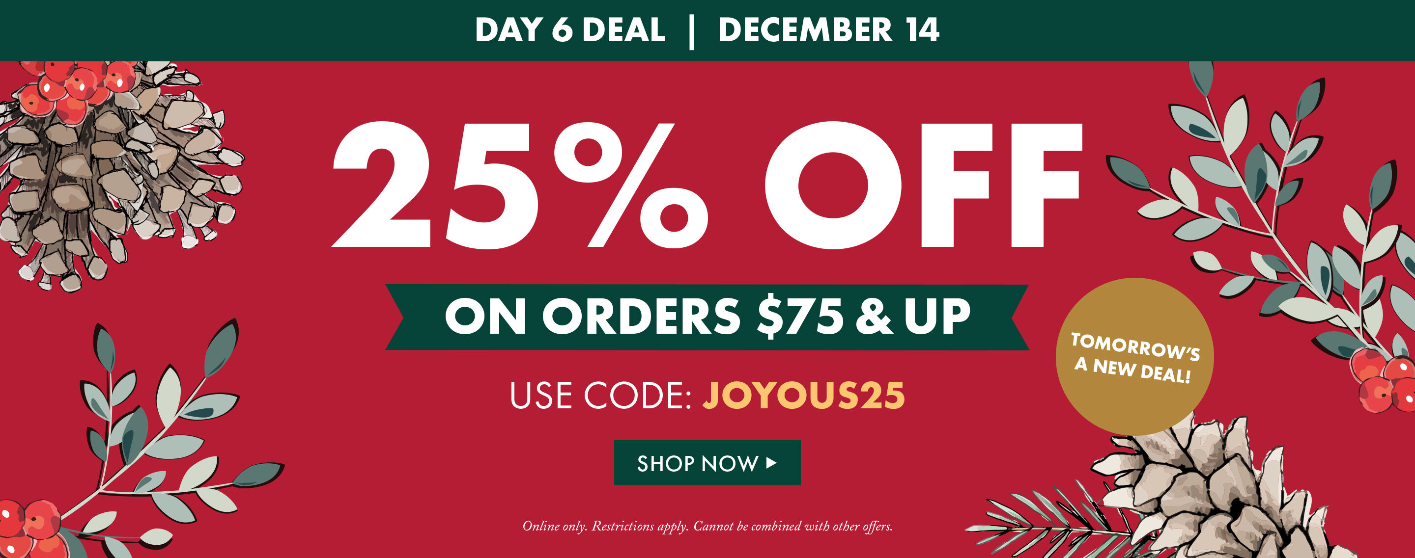 Day 6 Deal | December 14 | 25% OFF On Orders $75 and Up | USE CODE: JOYOUS25 - Shop Now