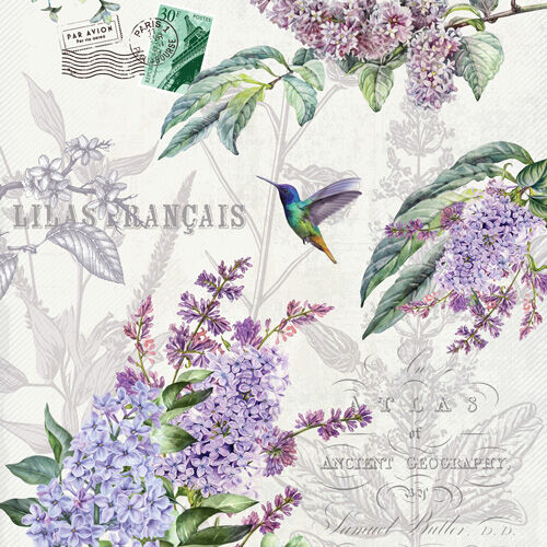 MDW - French Lilacs Collection
