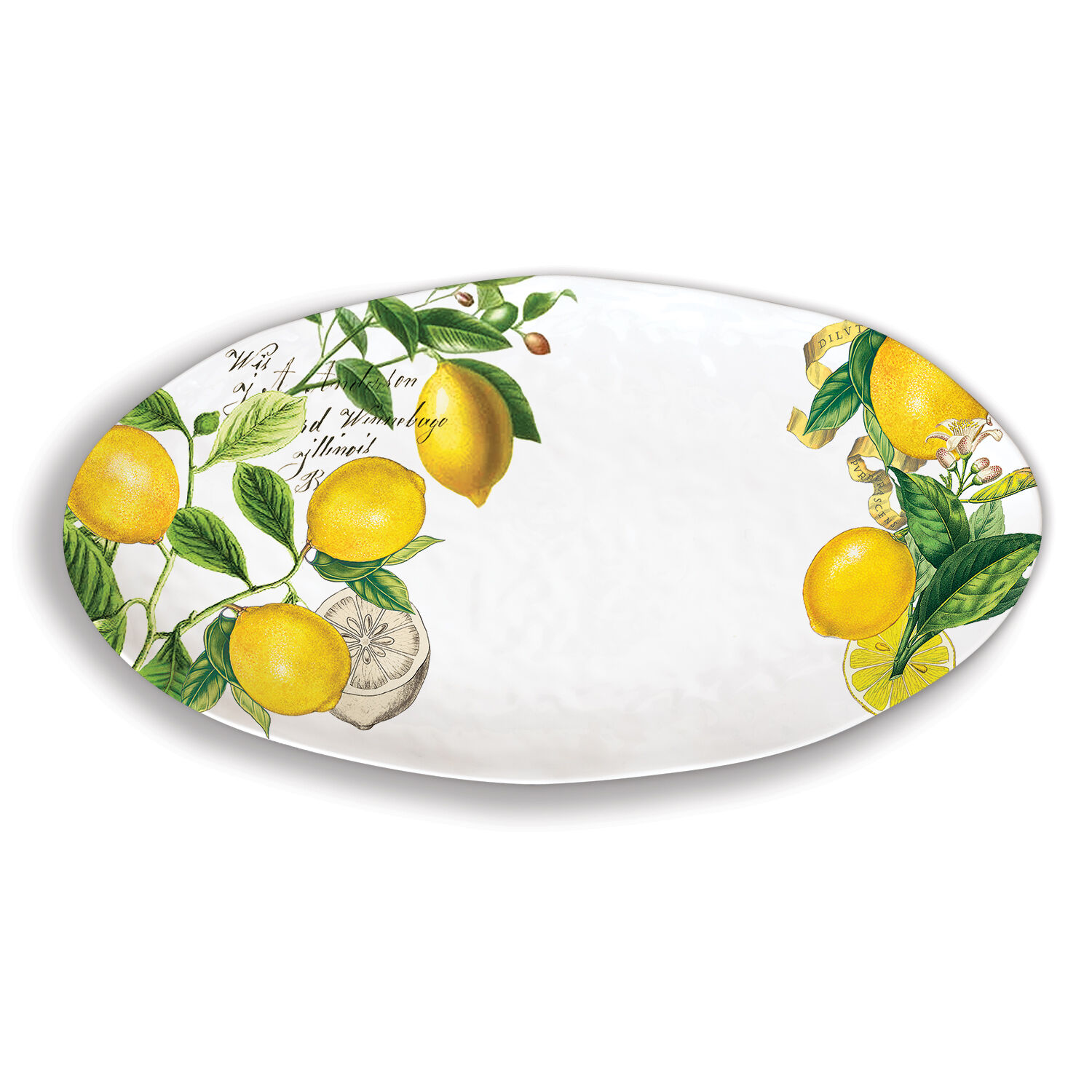 Round Tray & Serving Bowl Lemons & Lime Design Melamine Plates & Summer Citrus Fruit Oranges 2, Round Tray 12 & Serving Bowl 10 