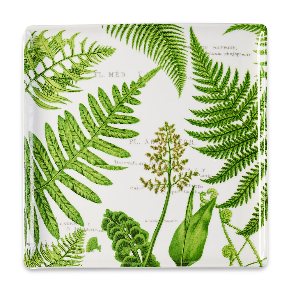 Fern Square Tray image number 0