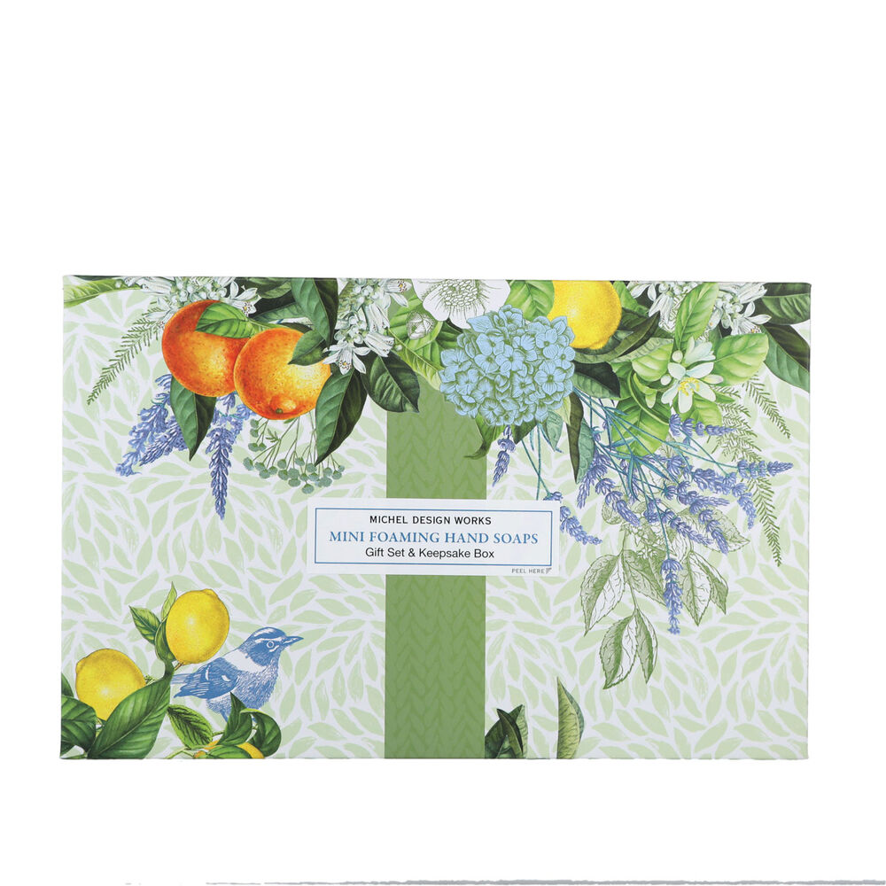 Botanicals Mini Foaming Hand Soap Gift Set (4-Piece)
