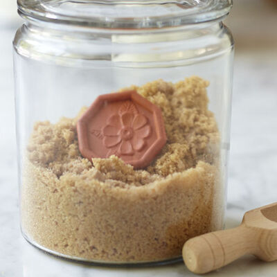 Brown Sugar Saver