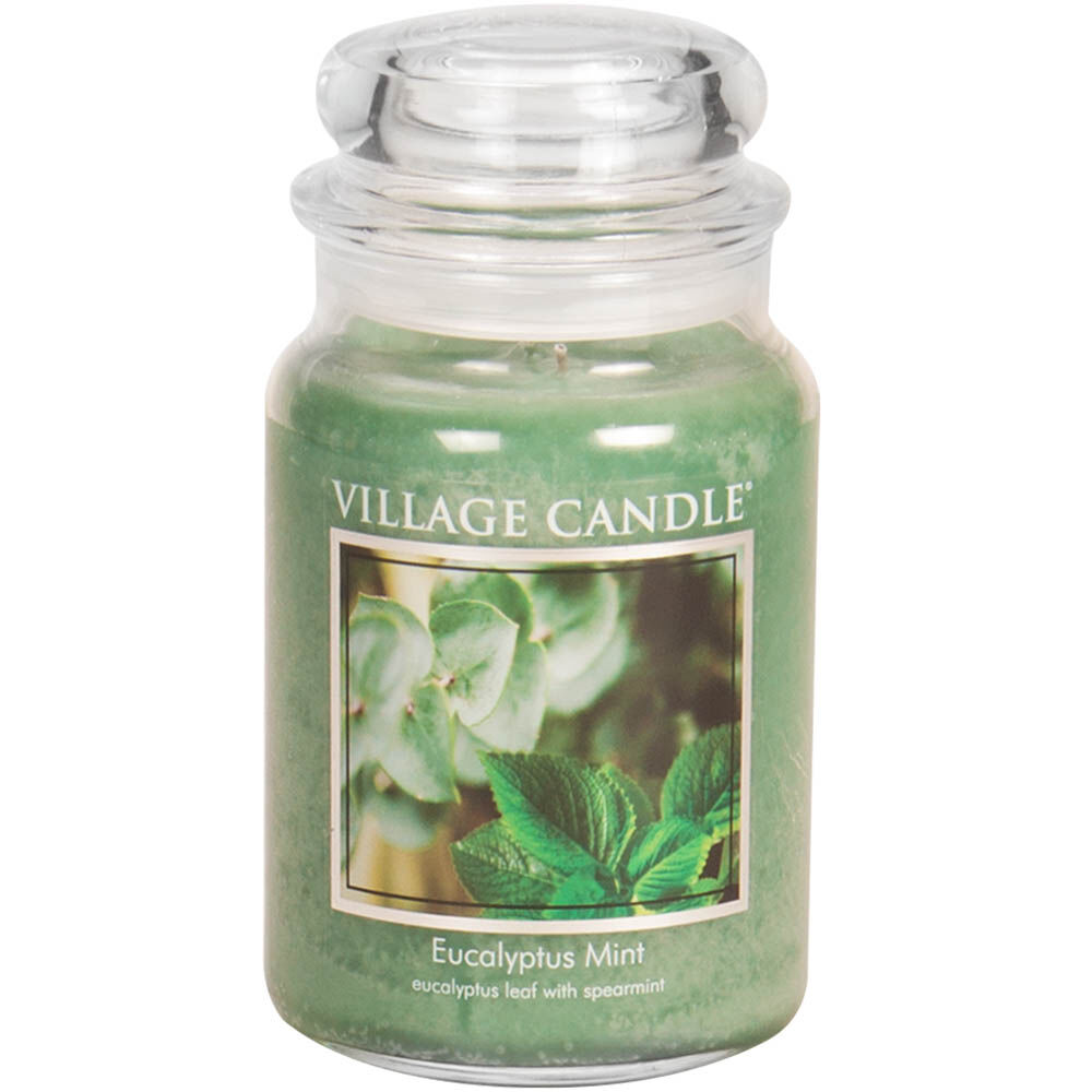 Yankee Candle WILD MINT Large Jar 22 Oz Green Housewarmer New Wax 