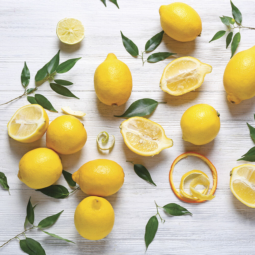 Fresh Lemon Fragrance Family image number 5