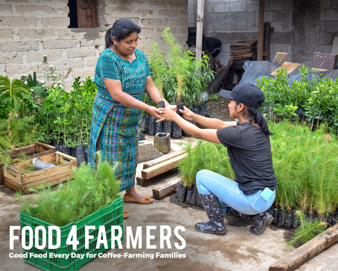 a woman kneeling down handing two plants to another woman