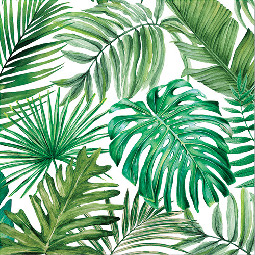 Palm Breeze