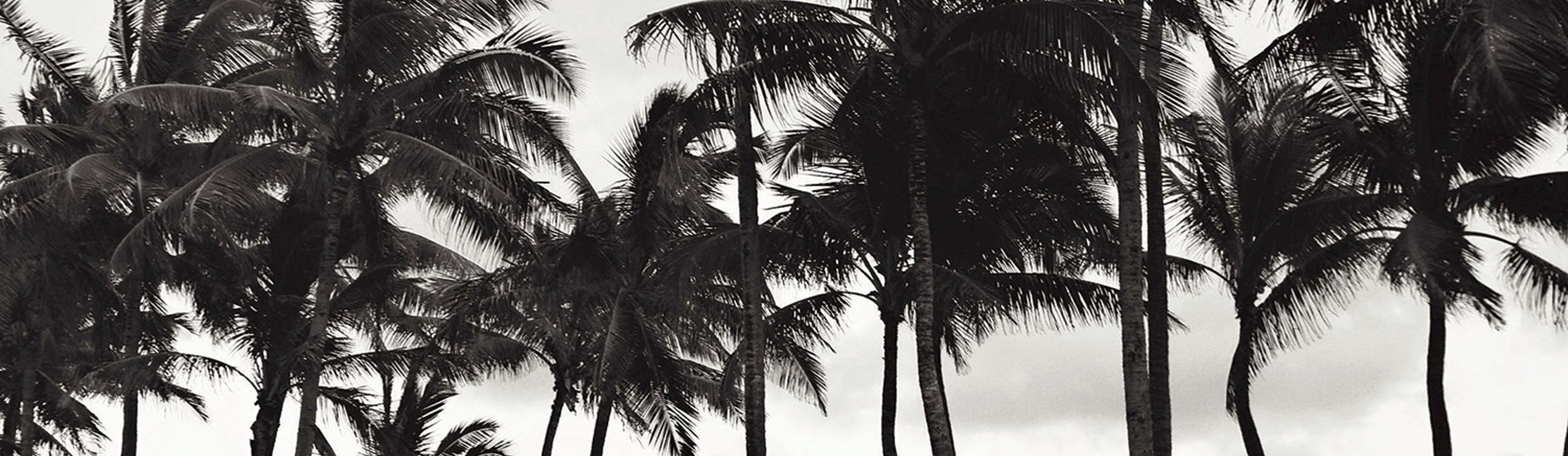 Pacific Wind
