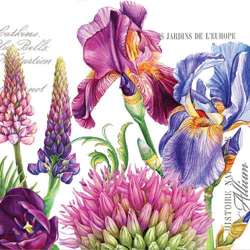 Deborah's Garden