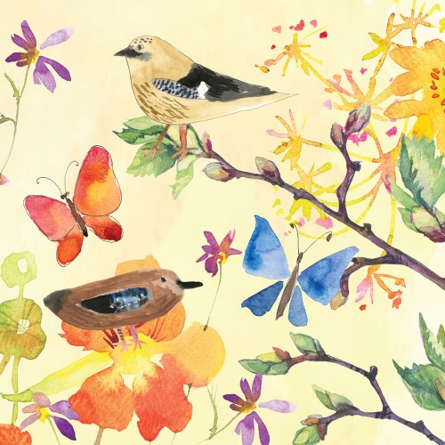Birds & Butterflies