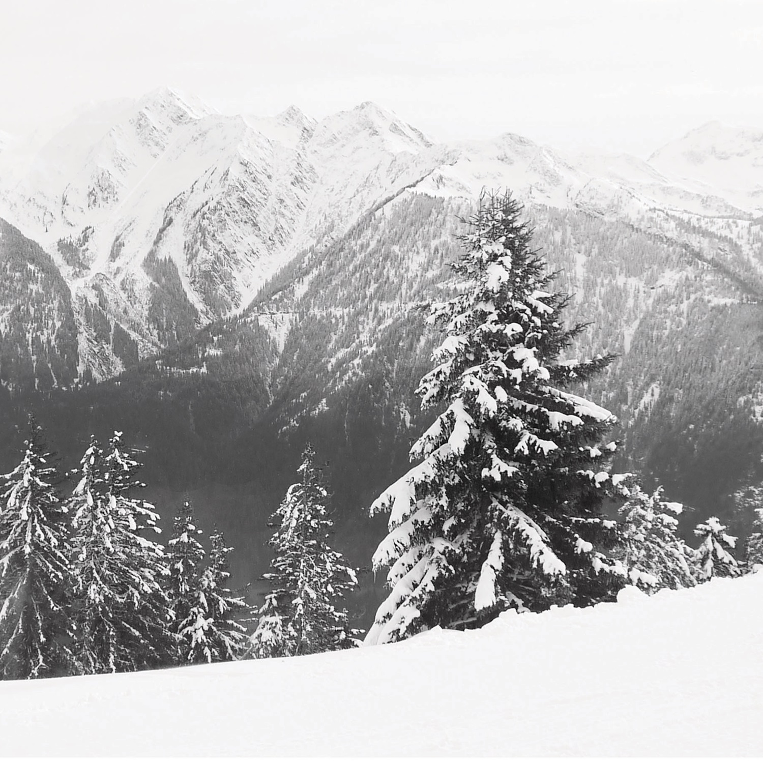 Alpine